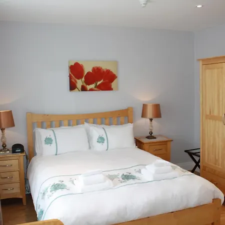 Town Centre Location With Free Private Parking -wifi - Entire With 4 Bedrooms Ensuite - Sleeps 9 * Cill Airne